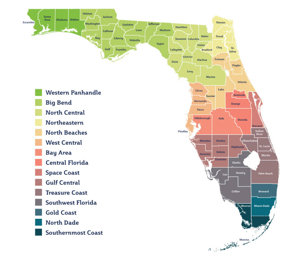 Mapa del estado de Florida con las regiones de las oficinas locales de Early Steps resaltadas en diferentes colores