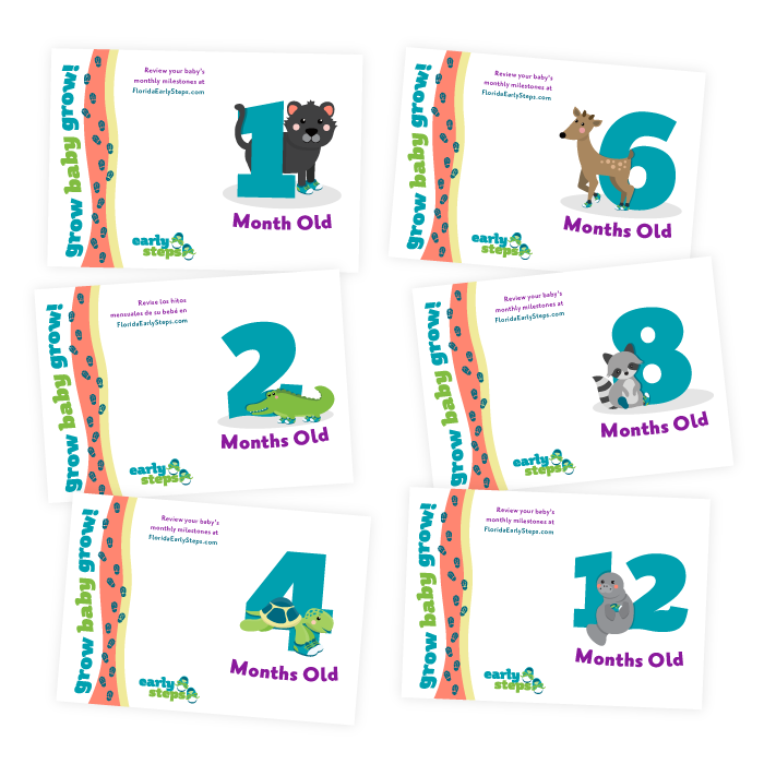 Preview image of Early Steps branded monthly milestone cards